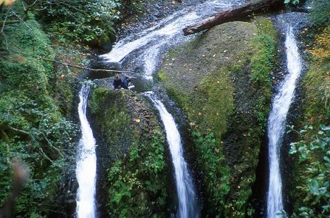 Triple falls Dimapur
